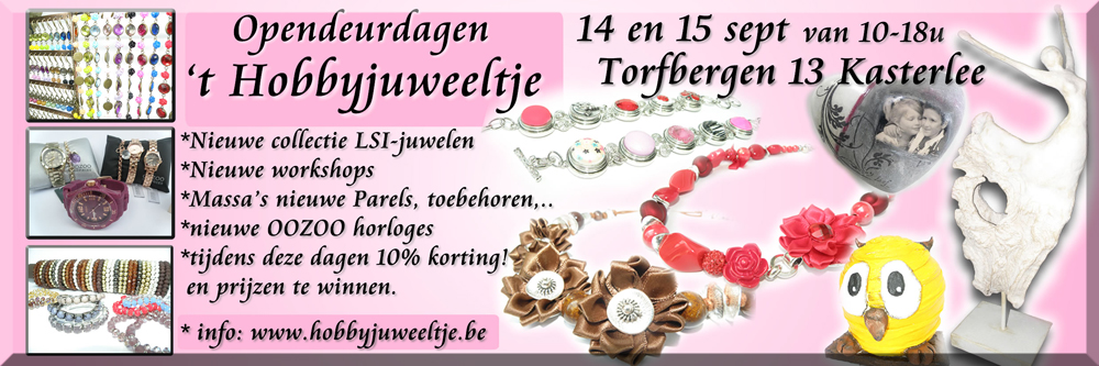 flyer2013